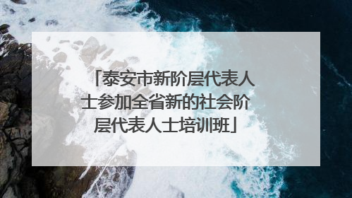 泰安市新阶层代表人士参加全省新的社会阶层代表人士培训班