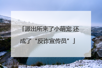 派出所来了小萌宠 还成了“反诈宣传员”