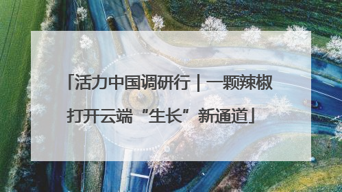 活力中国调研行｜一颗辣椒打开云端“生长”新通道