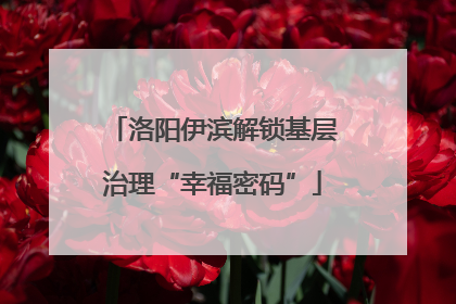 洛阳伊滨解锁基层治理“幸福密码”