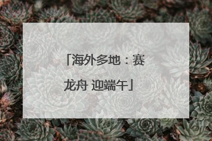 海外多地：赛龙舟 迎端午