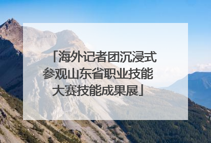 海外记者团沉浸式参观山东省职业技能大赛技能成果展