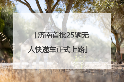 济南首批25辆无人快递车正式上路