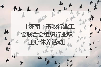 济南：畜牧行业工会联合会组织行业职工疗休养活动