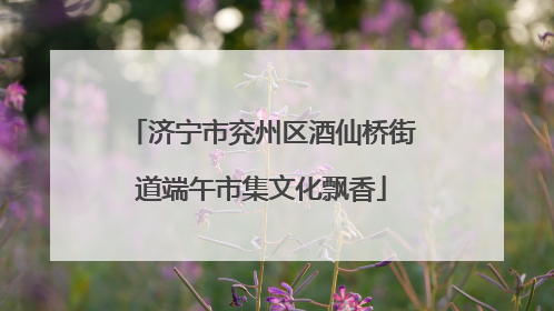 济宁市兖州区酒仙桥街道端午市集文化飘香