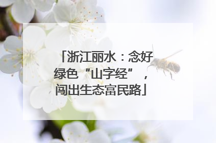 浙江丽水：念好绿色“山字经”，闯出生态富民路