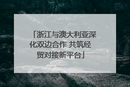 浙江与澳大利亚深化双边合作 共筑经贸对接新平台