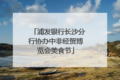 浦发银行长沙分行协办中非经贸博览会美食节
