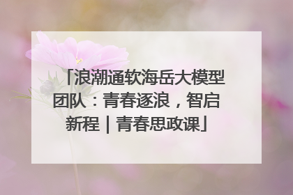浪潮通软海岳大模型团队：青春逐浪，智启新程｜青春思政课