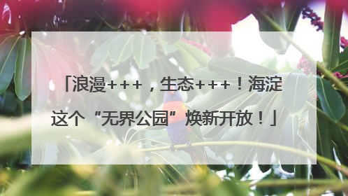 浪漫+++，生态+++！海淀这个“无界公园”焕新开放！