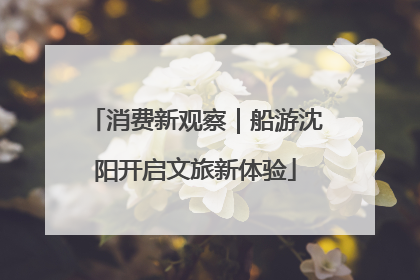 消费新观察｜船游沈阳开启文旅新体验