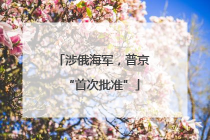 涉俄海军，普京“首次批准”