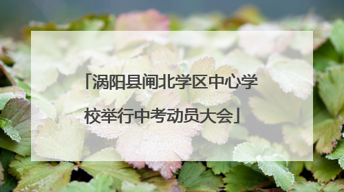 涡阳县闸北学区中心学校举行中考动员大会