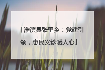 淮滨县张里乡：党建引领，惠民义诊暖人心