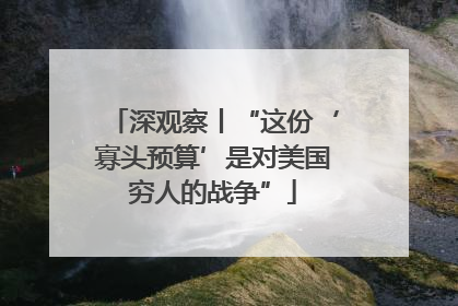 深观察丨“这份‘寡头预算’是对美国穷人的战争”
