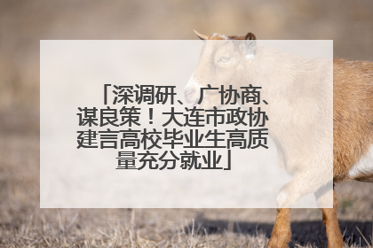 深调研、广协商、谋良策！大连市政协建言高校毕业生高质量充分就业