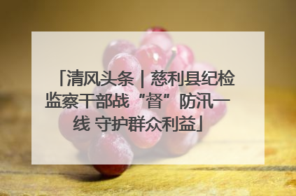 清风头条｜慈利县纪检监察干部战“督”防汛一线 守护群众利益