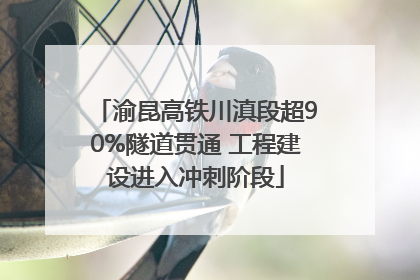 渝昆高铁川滇段超90%隧道贯通 工程建设进入冲刺阶段