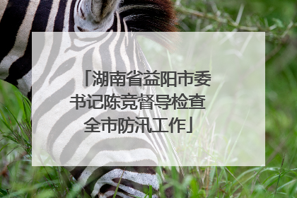 湖南省益阳市委书记陈竞督导检查全市防汛工作