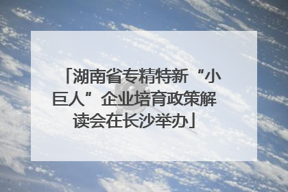 湖南省专精特新“小巨人”企业培育政策解读会在长沙举办