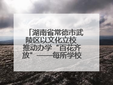 湖南省常德市武陵区以文化立校 推动办学“百花齐放”——每所学校都“精彩”