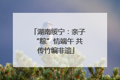 湖南绥宁：亲子“粽”情端午 共传竹编非遗