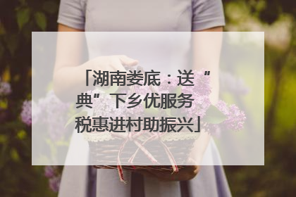 湖南娄底：送“典”下乡优服务 税惠进村助振兴