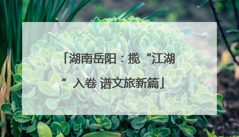 湖南岳阳：揽“江湖”入卷 谱文旅新篇
