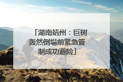 湖南靖州：巨树轰然倒塌前紧急管制成功避险