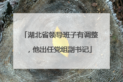 湖北省领导班子有调整，他出任党组副书记