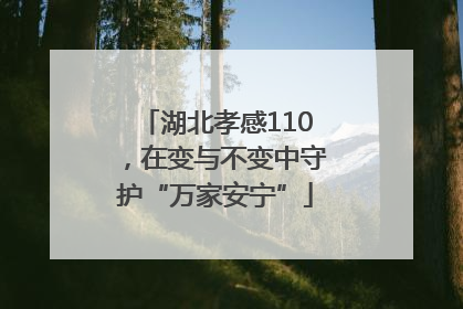 湖北孝感110，在变与不变中守护“万家安宁”