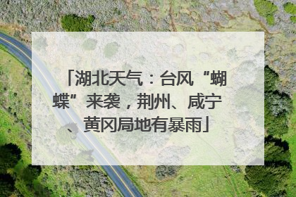 湖北天气：台风“蝴蝶”来袭，荆州、咸宁、黄冈局地有暴雨