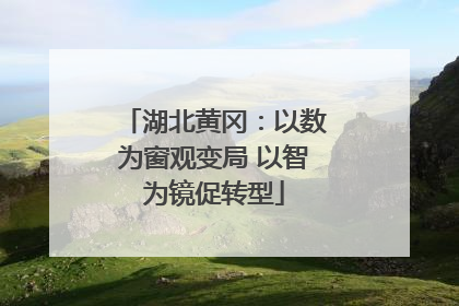 湖北黄冈：以数为窗观变局 以智为镜促转型