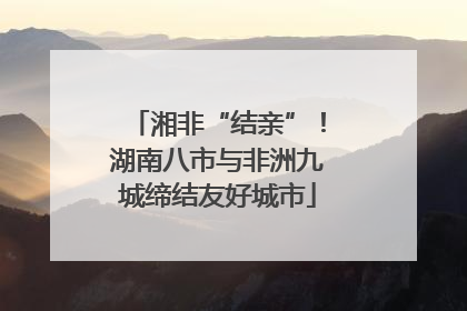 湘非“结亲”！湖南八市与非洲九城缔结友好城市