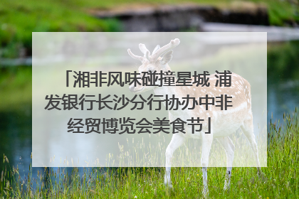 湘非风味碰撞星城 浦发银行长沙分行协办中非经贸博览会美食节