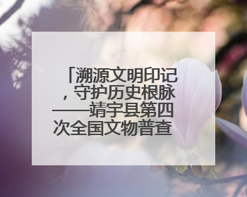 溯源文明印记，守护历史根脉——靖宇县第四次全国文物普查工作纪实