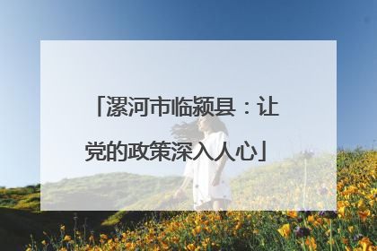 漯河市临颍县：让党的政策深入人心