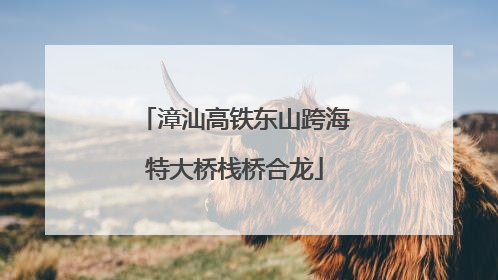 漳汕高铁东山跨海特大桥栈桥合龙