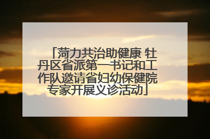 菏力共治助健康 牡丹区省派第一书记和工作队邀请省妇幼保健院专家开展义诊活动
