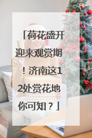 荷花盛开迎来观赏期！济南这12处赏花地你可知？