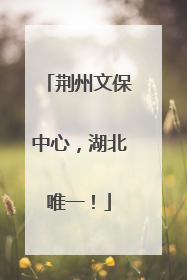 荆州文保中心，湖北唯一！