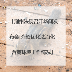 荆州法院召开新闻发布会 介绍优化法治化营商环境工作情况