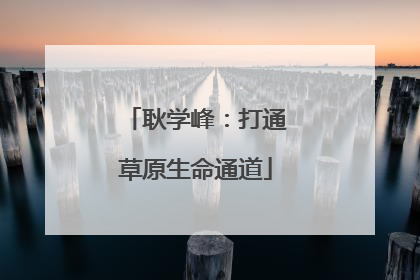 耿学峰：打通草原生命通道