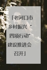 老河口市乡村振兴“四项行动”建设推进会召开
