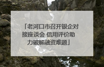 老河口市召开银企对接座谈会 信用评价助力破解融资难题