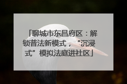 聊城市东昌府区：解锁普法新模式，“沉浸式”模拟法庭进社区
