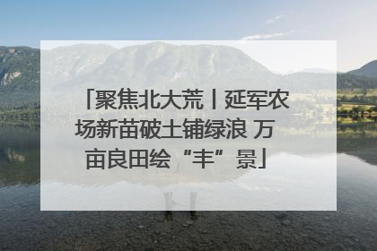 聚焦北大荒丨延军农场新苗破土铺绿浪 万亩良田绘“丰”景