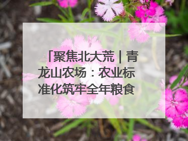 聚焦北大荒｜青龙山农场：农业标准化筑牢全年粮食安全根基