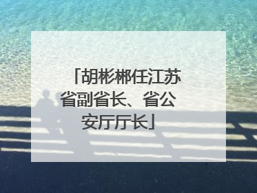 胡彬郴任江苏省副省长、省公安厅厅长