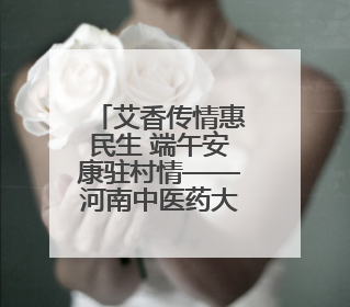 艾香传情惠民生 端午安康驻村情——河南中医药大学驻西峡县寨根乡桑树村工作队端午中医惠民记